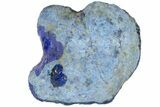 Vivid Blue, Cut/Polished Azurite Nodule - Siberia #94575-1